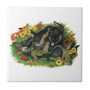 Carreau Jardin de chiots