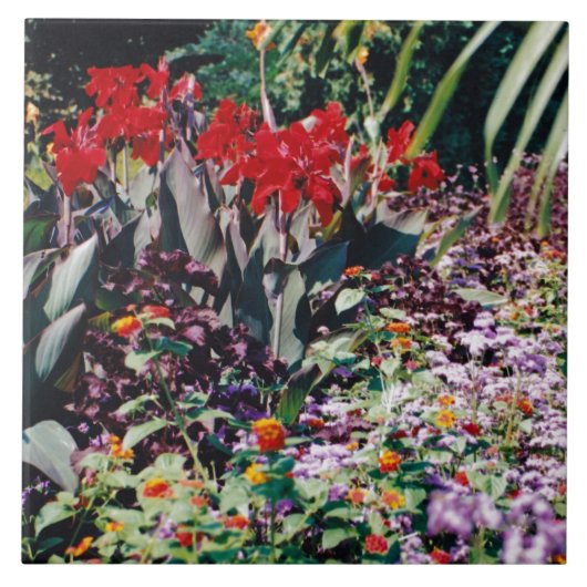 Carreau Jardin de guérison (Devant)