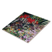 Carreau Jardin de guérison (Côté)