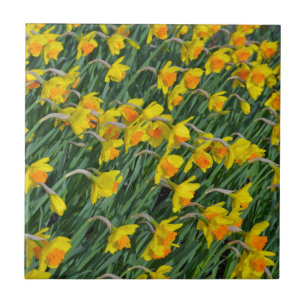 Carreau Jardin de la jonquille jaune vif