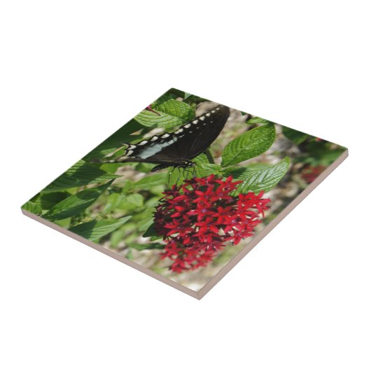 Carreau Jardin de papillon (Côté)