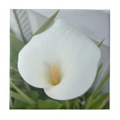 Carreau Jardin de pouce vert Plante blanc Calla Lily Fleur (Devant)