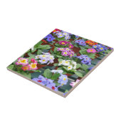 Carreau Jardin des primroses colorées (Côté)
