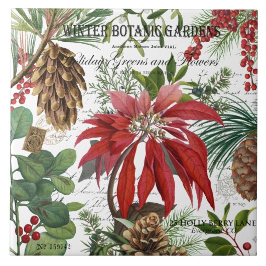 Carreau Jardin d'hiver vintage moderne floral (Devant)