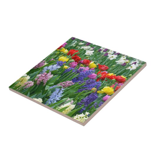 Carreau Jardin fleuri coloré (Côté)