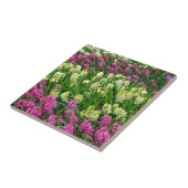 Carreau Jardin fleuri coloré d'hyacinthe (Côté)