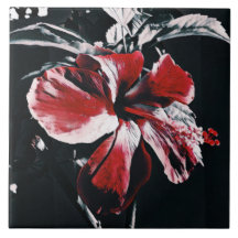 Jardin Hibiscus Tropical Artwork
