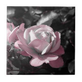 Carreau Jardin rose rose (Devant)