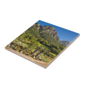 Carreau Jardins botaniques de Kirstenbosch, Cap (Côté)