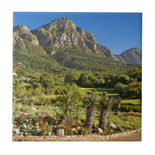 Carreau Jardins botaniques de Kirstenbosch, Le Cap