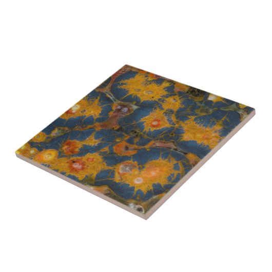 Carreau Jasper (Côté)