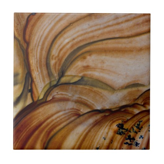 Carreau Jasper de Deschutes de couleur marron (Devant)