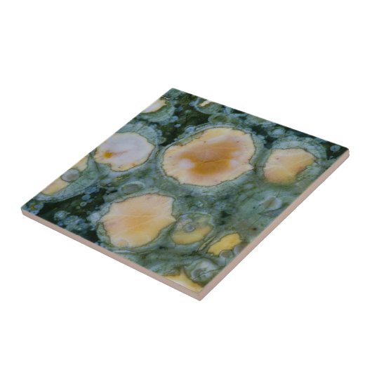 Carreau Jasper de l'océan (Côté)