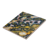 Carreau Jasper océan tacheté coloré (Côté)