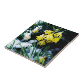Carreau Jaune Daffodils fleurs dans la neige (Côté)
