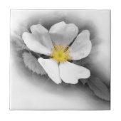 Carreau jaune dans les tons gris (Devant)