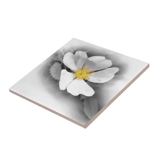 Carreau jaune dans les tons gris (Côté)