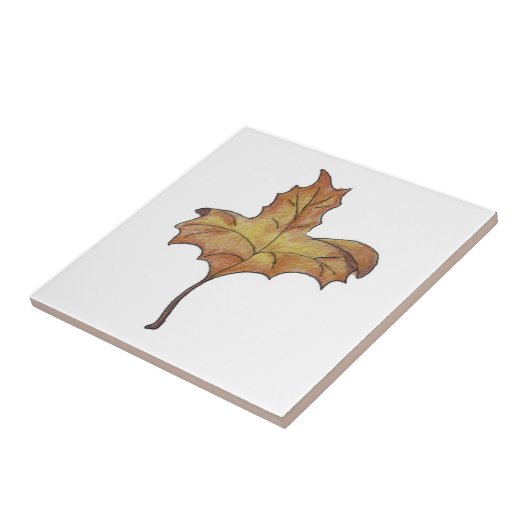 Carreau Jaune feuille d'érable (Côté)