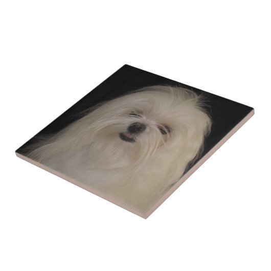 Carreau Je ne fais pas de noeuds supérieurs MALTESE (Côté)