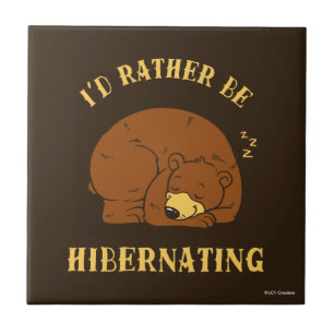 Carreau Je préférerais être en hibernation