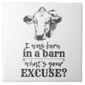 Carreau Je suis né dans une grange quelle est votre excuse (Devant)