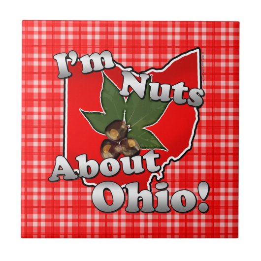 Carreau Je suis Nuts au sujet de l'Ohio, écrou drôle de (Devant)