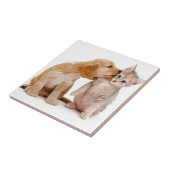 Carreau Je t'aime !  Les baisers de chiot ont étonné le (Côté)