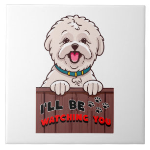 Carreau Je te surveillerai