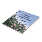 Carreau Jean 8:36 Si le Fils vous libère, vous serez (Côté)