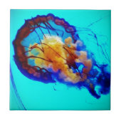 Carreau Jellyfish / Pacific Sea Nettle / (Devant)
