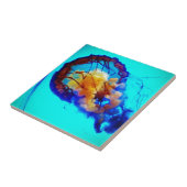 Carreau Jellyfish / Pacific Sea Nettle / (Côté)