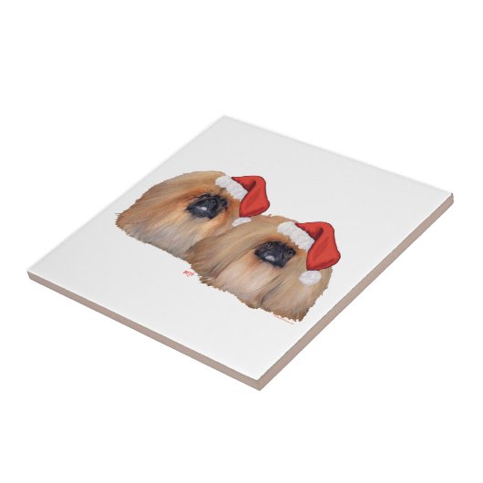 Carreau Jésus-Christ (Côté)