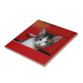 Carreau Jeter un coup d'oeil de chaton (Côté)