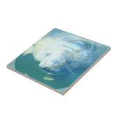 Carreau Jeter un coup d'oeil la tuile de lamantin (Côté)