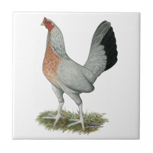 Carreau Jeu de Duckwing Argent Hen