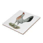 Carreau Jeu de Duckwing Argent Hen (Côté)