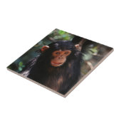 Carreau Jeune chimpanzé (Côté)