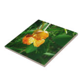 Carreau Jewel Weed, Fleur sauvage (Côté)