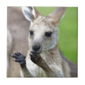 Carreau Joey kangaroo mignon (Devant)