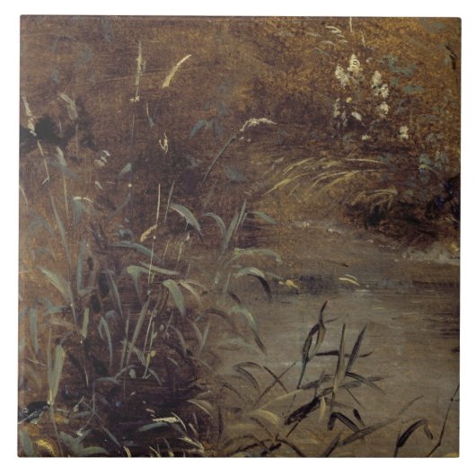 Carreau John Constable | Rushes par un Pool, c.1821 (huile (Devant)