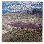 Carreau John Day Fossil Beds National Monument, Oregon (Devant)