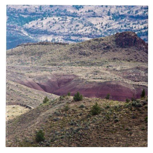 Carreau John Day Fossil Beds National Monument, Oregon (Devant)