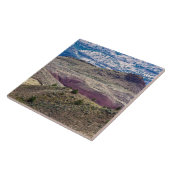 Carreau John Day Fossil Beds National Monument, Oregon (Côté)