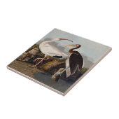 Carreau John James Audubon White Ibis Bird Print Classic (Côté)