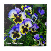 Carreau Johnny Jump Up (Devant)