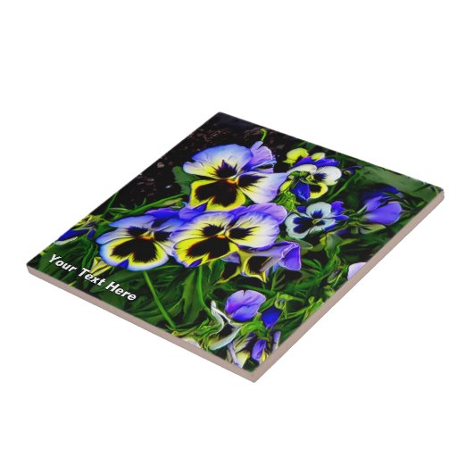 Carreau Johnny Jump Up (Côté)