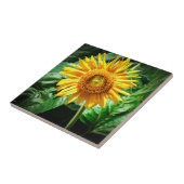 Carreau Joie de Tournesol (Côté)