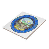 Carreau Joint d'état du Nevada (Côté)