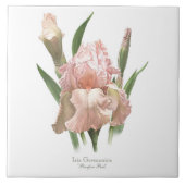 Carreau Joli Art Botanique Iris Rose (Devant)