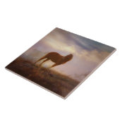 Carreau Joli Carrelage d'art Palomino Mustang (Côté)